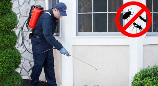 Kozaklı Gümüşkurt İlaçlama böcek ilaçlama ve haşere kontrolü — ilaclama-tr.com